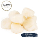 IQF Jumbo Scallops