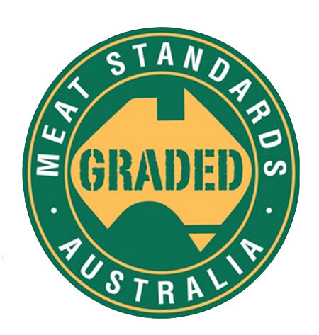 MSA Graded Logo